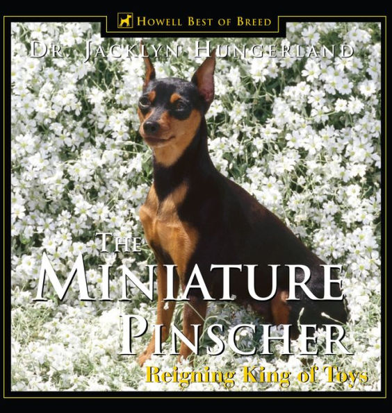 Miniature Pinscher: Reigning King of Toys