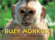 Title: Busy Monkeys, Author: John Schindel