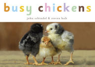 Title: Busy Chickens, Author: John Schindel