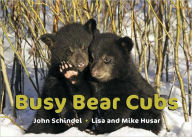 Title: Busy Bear Cubs, Author: John Schindel