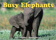 Title: Busy Elephants, Author: John Schindel