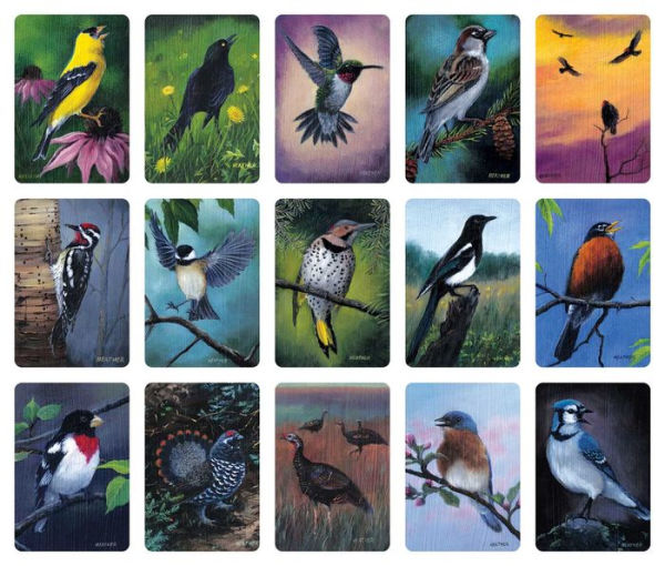 Bird Vibes Meditation Cards: Spiritual Insight Through Birds (A 54-Card Deck and Guidebook)