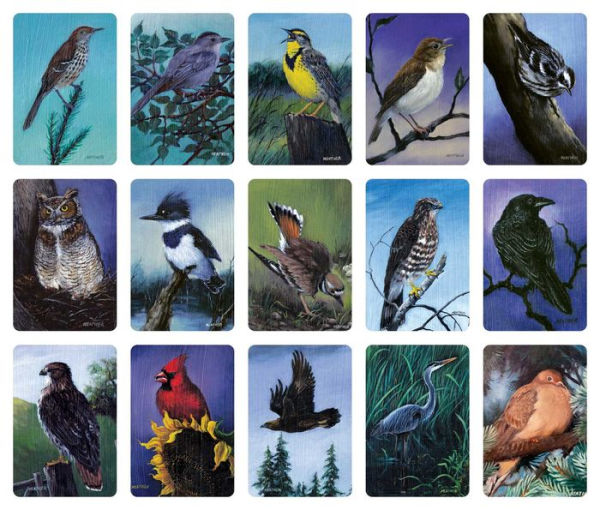 Bird Vibes Meditation Cards: Spiritual Insight Through Birds (A 54-Card Deck and Guidebook)