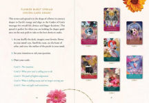 Alternative view 6 of Guidance from Gaia Oracle: Practices and Affirmations from Spirit Animals (A 52-Card Deck & Guidebook)