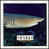 Sharks (Let's Investigate Wildlife Series)