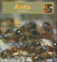 Title: Ants, Author: Teresa Wimmer