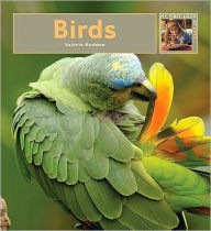 Title: Birds, Author: Valerie Bodden