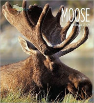 Title: Moose, Author: Melissa Gish