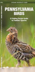 Pennsylvania Birds: A Folding Pocket Guide to Familiar Species