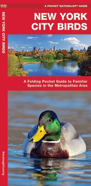 New York City Birds: A Folding Pocket Guide to Familiar Species in the Metropolitan Area