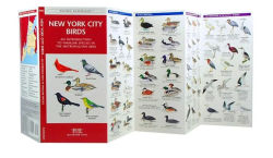 Alternative view 2 of New York City Birds: A Folding Pocket Guide to Familiar Species in the Metropolitan Area