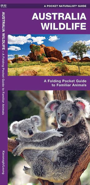 Australia Wildlife: A Folding Pocket Guide to Familiar Animals