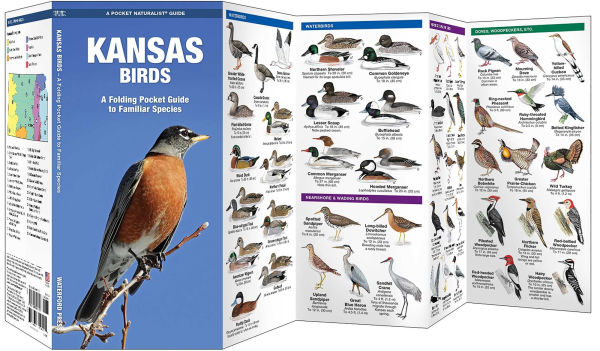 Kansas Birds