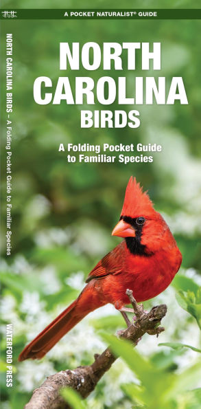 North Carolina Birds: A Folding Pocket Guide to Familiar Species