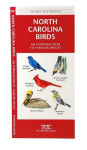 Alternative view 2 of North Carolina Birds: A Folding Pocket Guide to Familiar Species