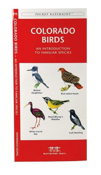 Colorado Birds: A Folding Pocket Guide to Familiar Species