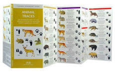 Alternative view 2 of Animal Tracks: A Folding Pocket Guide to the Tracks & Signs of Familiar North American Species