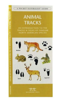 Animal Tracks: A Folding Pocket Guide to the Tracks & Signs of Familiar ...