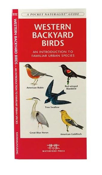 Western Backyard Birds: A Folding Pocket Guide to Familiar Urban Species