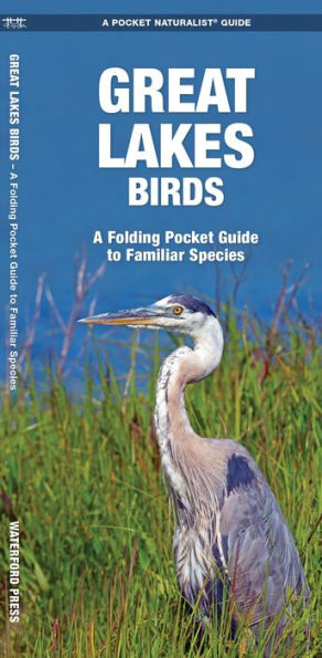 Great Lakes Birds: A Folding Pocket Guide to Familiar Species
