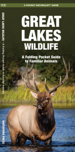 Title: Great Lakes Wildlife: A Folding Pocket Guide to Familiar Animals, Author: James Kavanagh Waterford Press