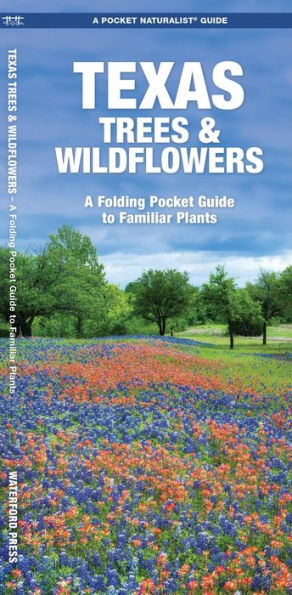 Texas Trees & Wildflowers: A Folding Pocket Guide to Familiar Plants