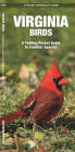Virginia Birds: A Folding Pocket Guide to Familiar Species