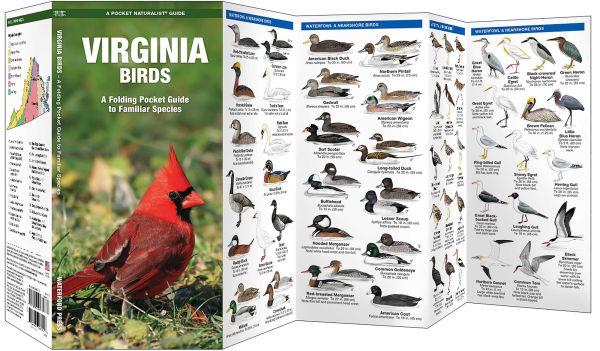 Virginia Birds