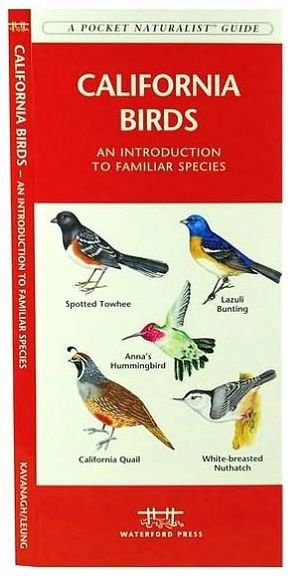 California Birds: A Folding Pocket Guide to Familiar Species