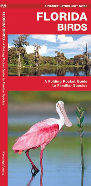 Florida Birds: A Folding Pocket Guide to Familiar Species