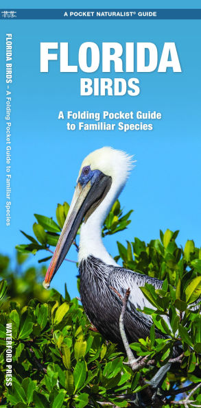 Florida Birds: A Folding Pocket Guide to Familiar Species