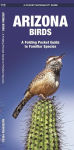 Alternative view 1 of Pocket Naturalist: Arizona Birds