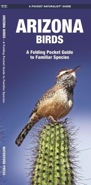 Pocket Naturalist: Arizona Birds