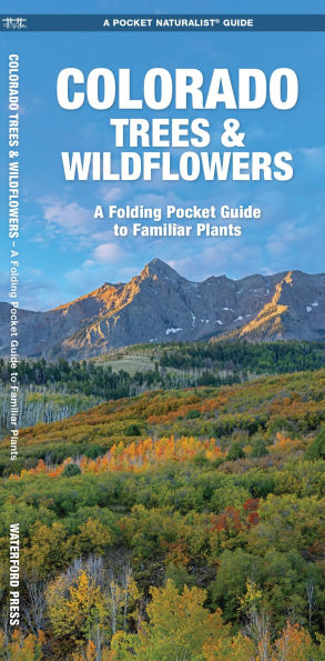 Colorado Trees & Wildflowers: A Folding Pocket Guide to Familiar Plants