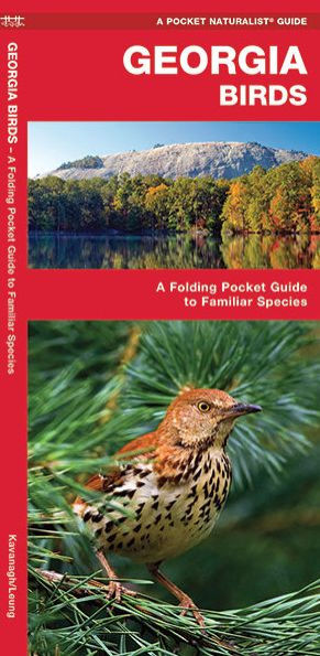 Georgia Birds: A Folding Pocket Guide to Familiar Species