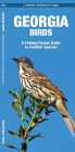 Georgia Birds