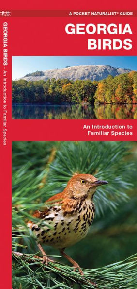 Georgia Birds: A Folding Pocket Guide to Familiar Species