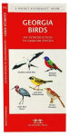 Alternative view 3 of Georgia Birds