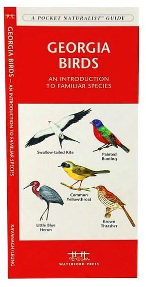 Georgia Birds: A Folding Pocket Guide to Familiar Species