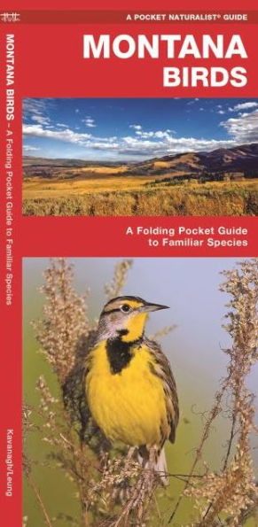 Montana Birds: A Folding Pocket Guide to Familiar Species