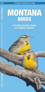Title: Montana Birds: A Folding Pocket Guide to Familiar Species, Author: James Kavanagh Waterford Press
