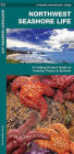 Northwest Seashore Life: A Folding Pocket Guide to Familiar Plants & Animals