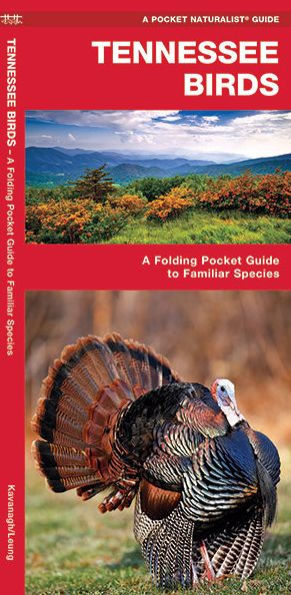 Tennessee Birds: A Folding Pocket Guide to Familiar Species