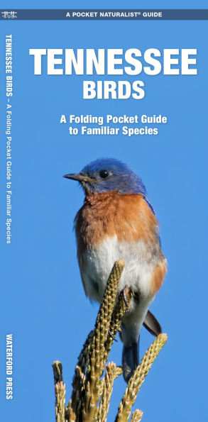 Tennessee Birds: A Folding Pocket Guide to Familiar Species