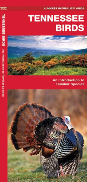 Tennessee Birds: A Folding Pocket Guide to Familiar Species