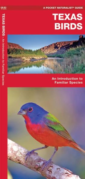 Texas Birds: A Folding Pocket Guide to Familiar Species