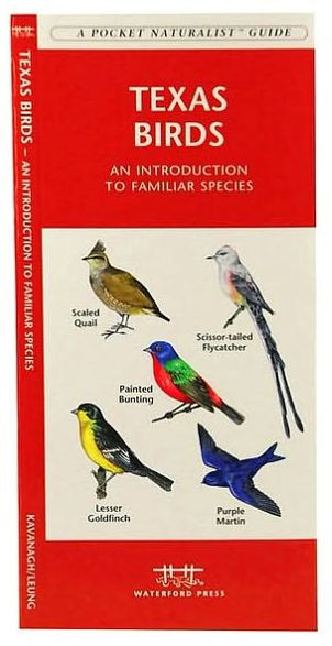 Texas Birds: A Folding Pocket Guide to Familiar Species