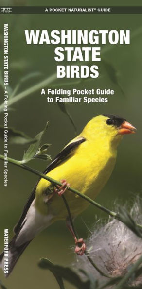 Washington State Birds: A Folding Pocket Guide to Familiar Species