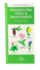 Alternative view 3 of Washington State Trees & Wildflowers: A Folding Pocket Guide to Familiar Plants