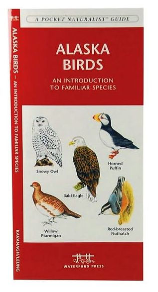 Alaska Birds: A Folding Pocket Guide to Familiar Species